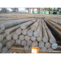 Fornecimento de alta qualidade C45cr barras de aço redondo